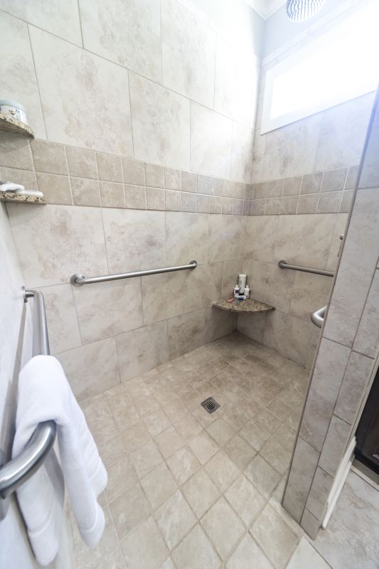 Accessible Bathroom Remodel detail
